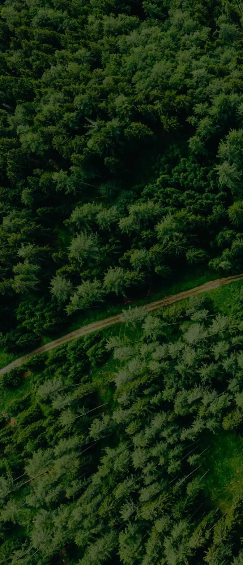 Third Section
